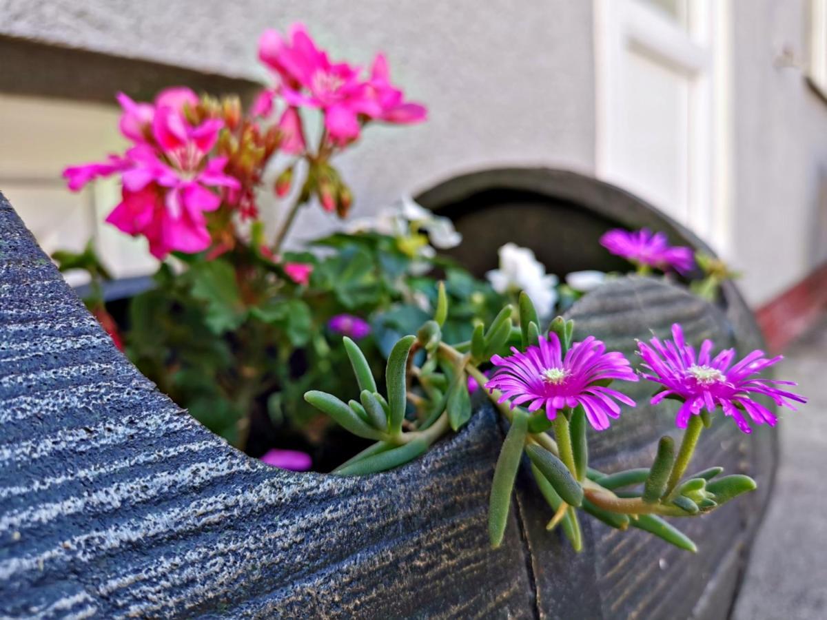 Pleternica Apartment Slavonska Kuca מראה חיצוני תמונה